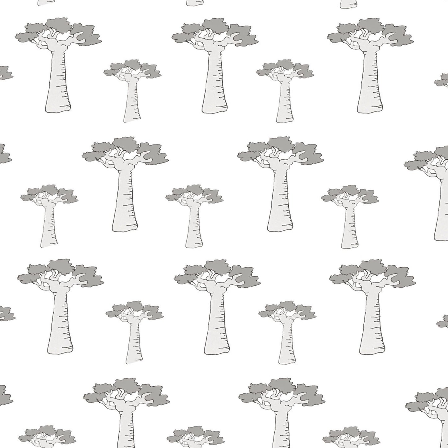 Baobab Tree Wallpaper