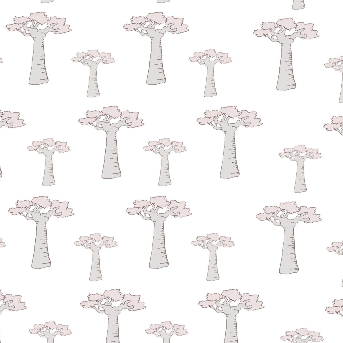 Baobab Tree Wallpaper