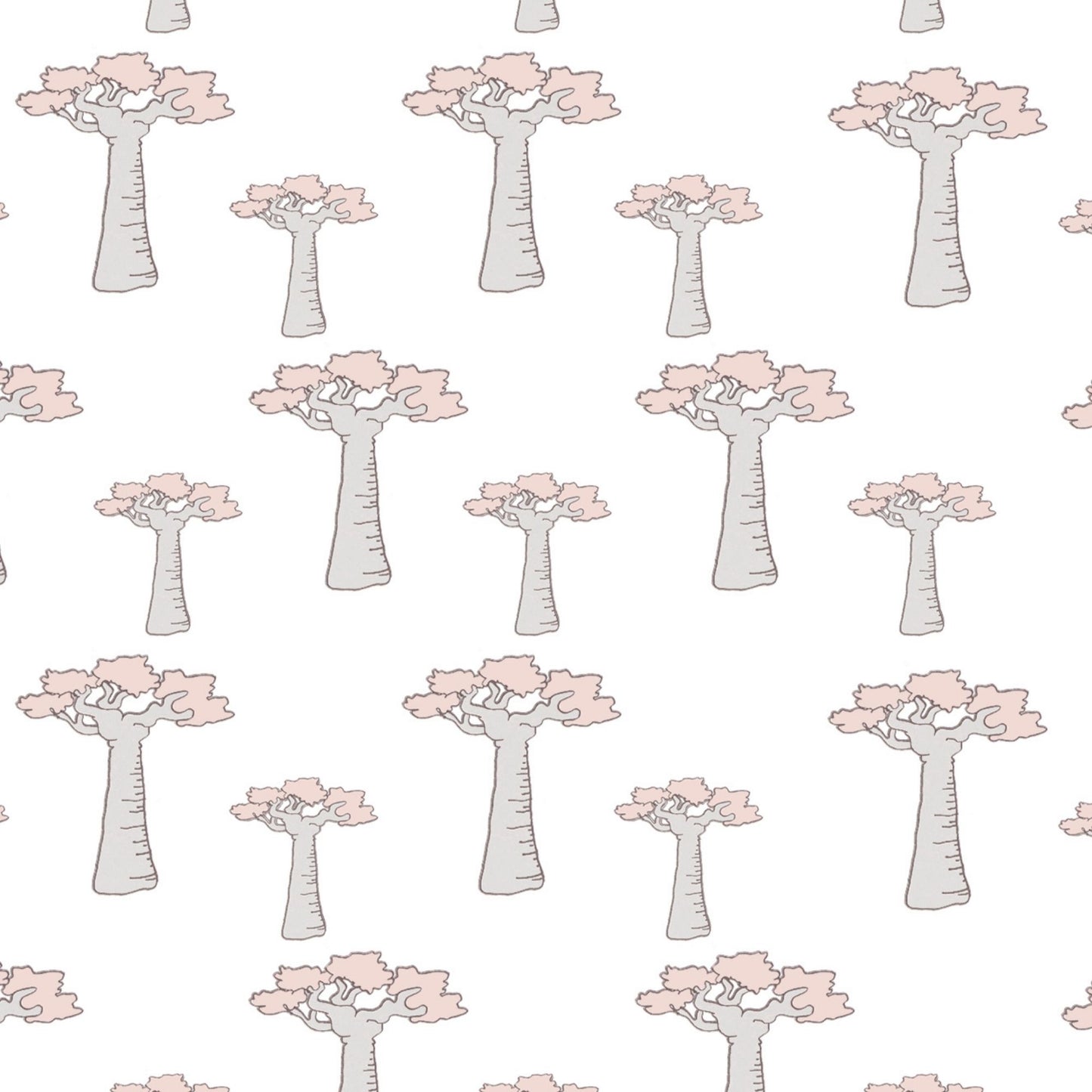 Baobab Tree Wallpaper
