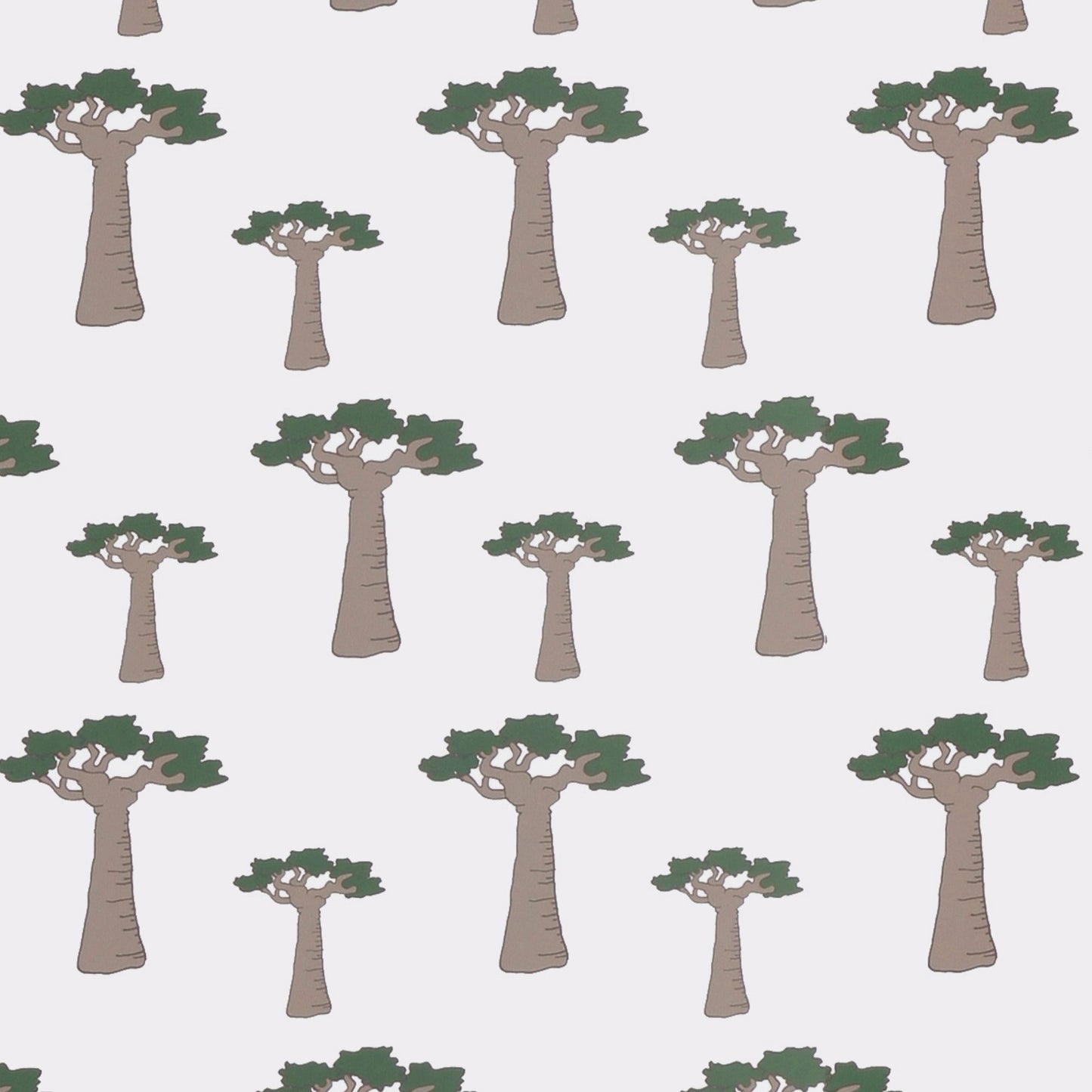 Baobab Tree Wallpaper