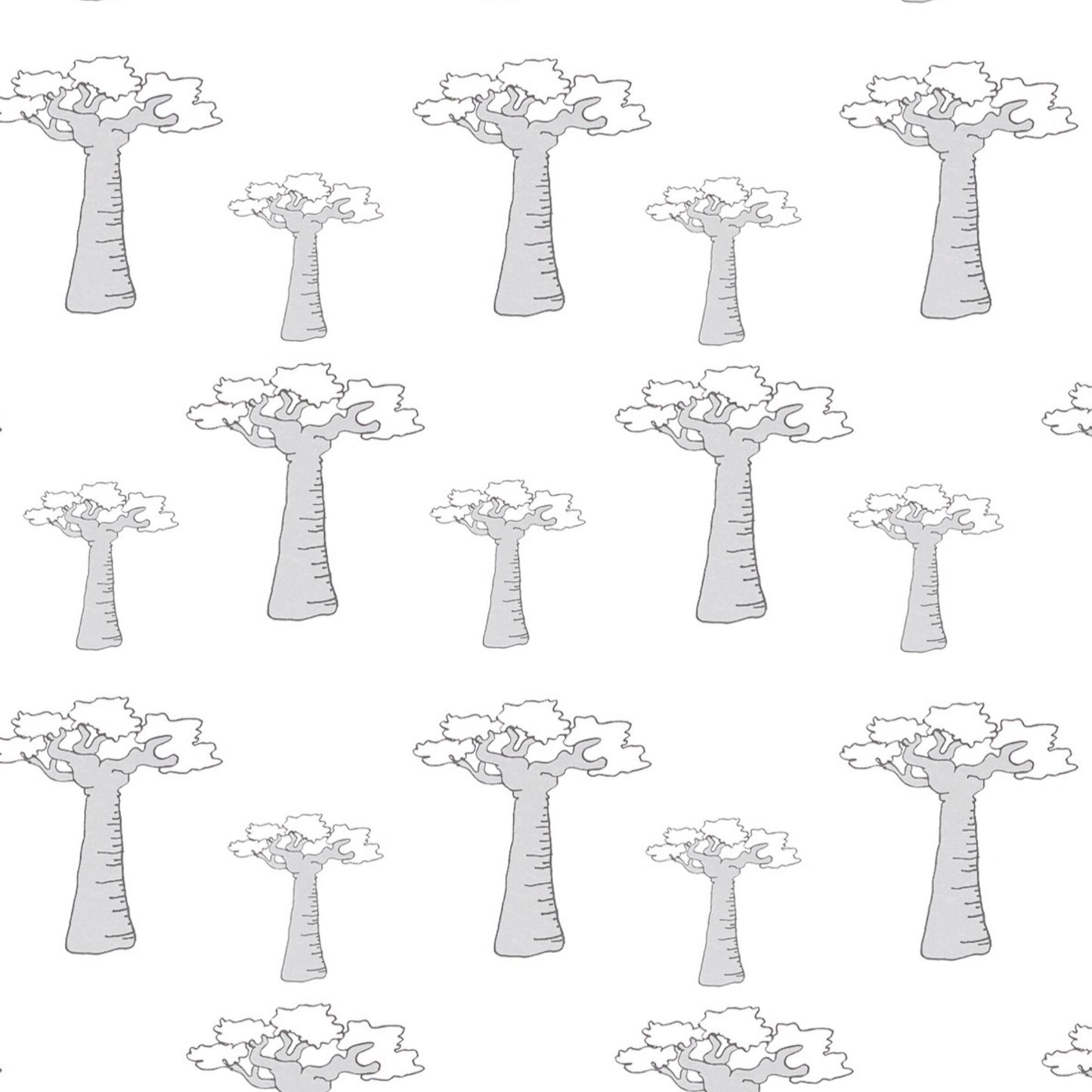 Baobab Tree Wallpaper