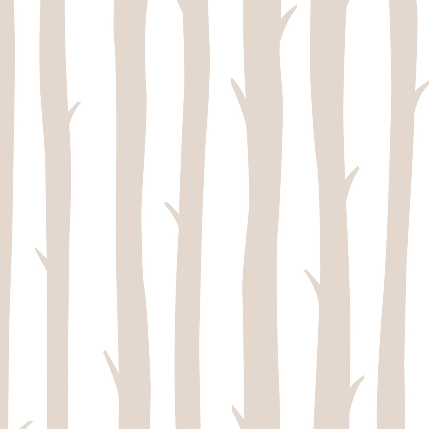 Forest Wallpaper