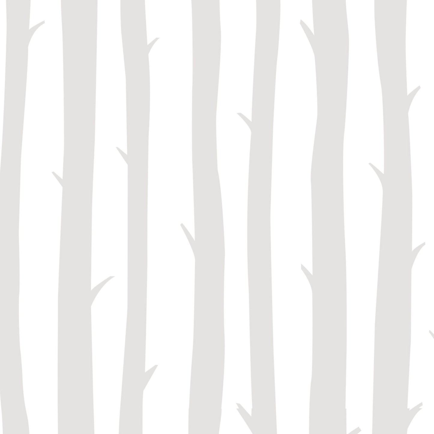 Forest Wallpaper