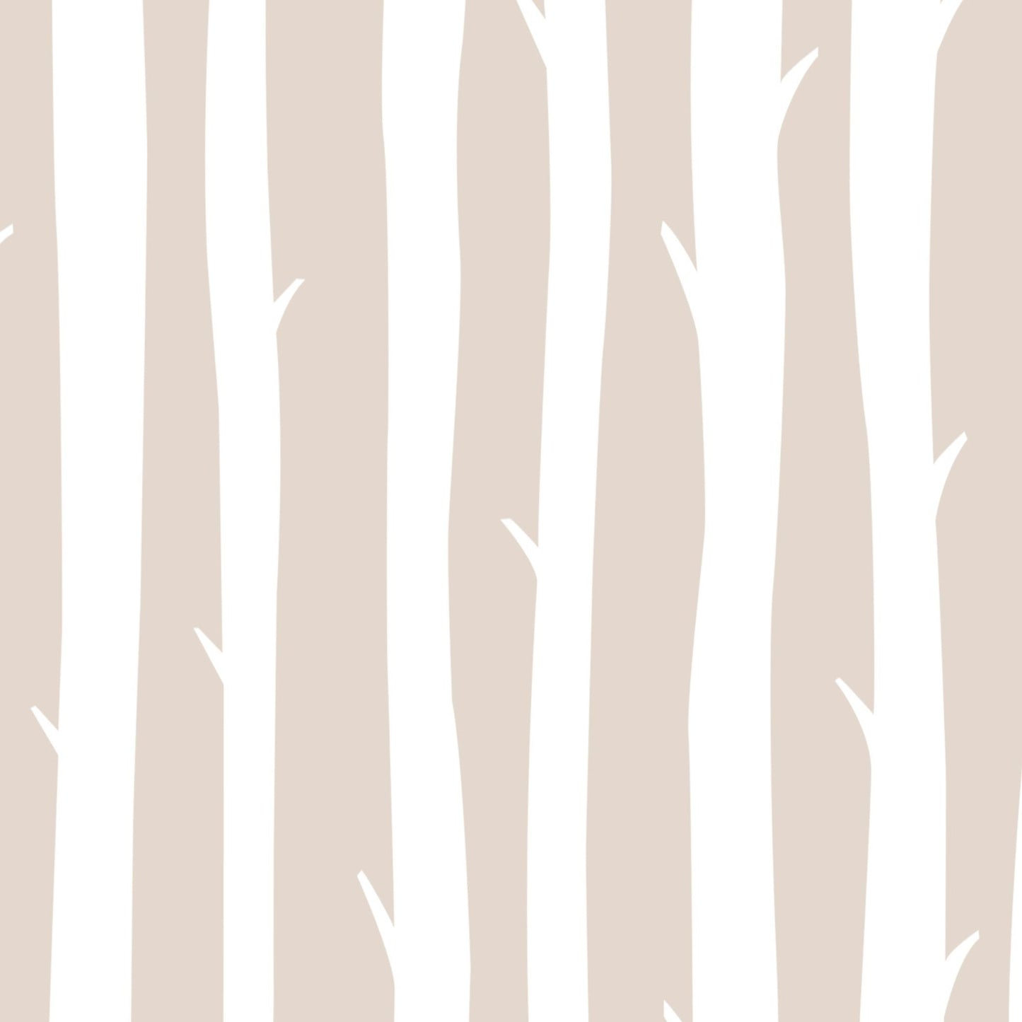 Forest Wallpaper